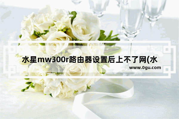 水星mw300r路由器设置后上不了网(水星mw305r无线路由器设置好无法上网)