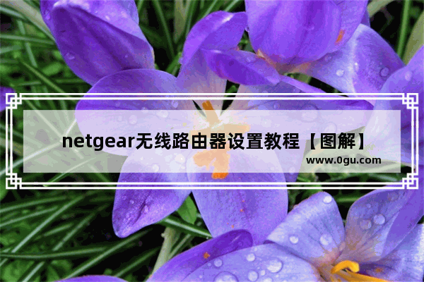 netgear无线路由器设置教程【图解】