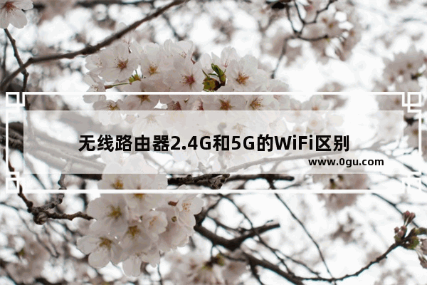 无线路由器2.4G和5G的WiFi区别