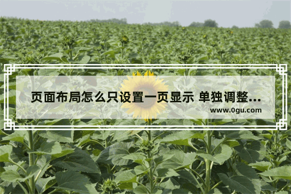 页面布局怎么只设置一页显示 单独调整一页的页面设置方法