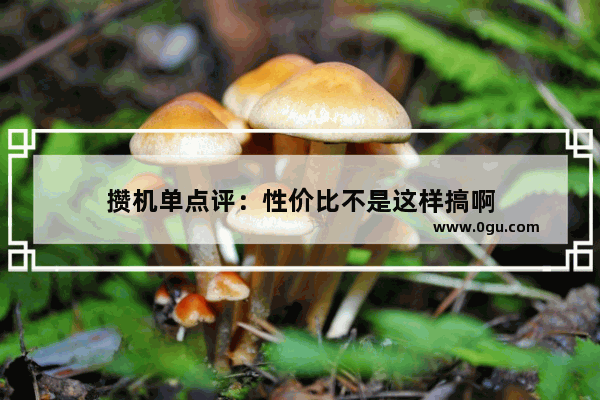 攒机单点评：性价比不是这样搞啊