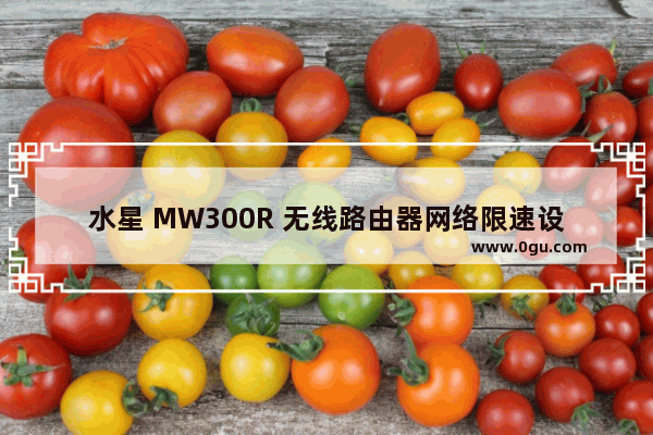 水星 MW300R 无线路由器网络限速设置方法
