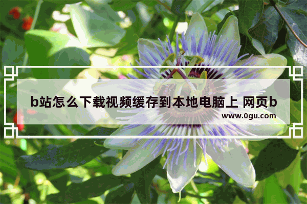 b站怎么下载视频缓存到本地电脑上 网页b站缓存视频教程