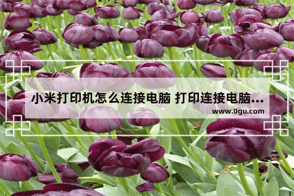 小米打印机怎么连接电脑 打印连接电脑使用的教程