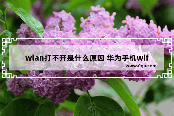 wlan打不开是什么原因 华为手机wifi打不开解决方法