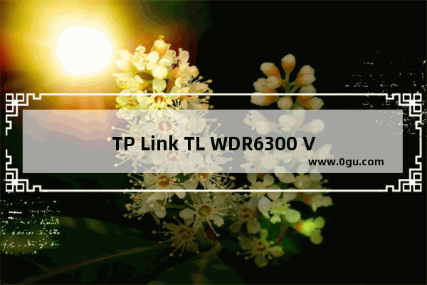 TP Link TL WDR6300 V2 无线路由器上网控制网络权限设置