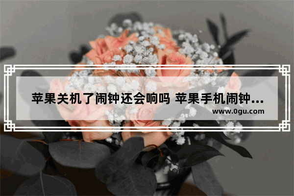 苹果关机了闹钟还会响吗 苹果手机闹钟的介绍