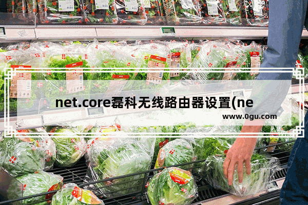 net.core磊科无线路由器设置(netcore磊科路由器设置网址)