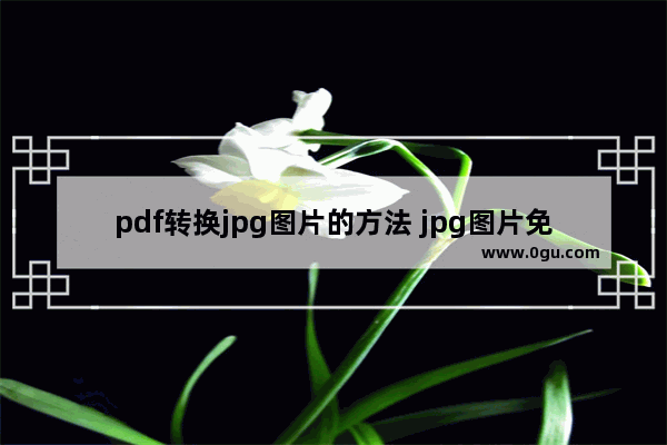 pdf转换jpg图片的方法 jpg图片免费改为pdf格式的技巧
