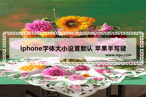iphone字体大小设置默认 苹果手写键盘设置操作步骤