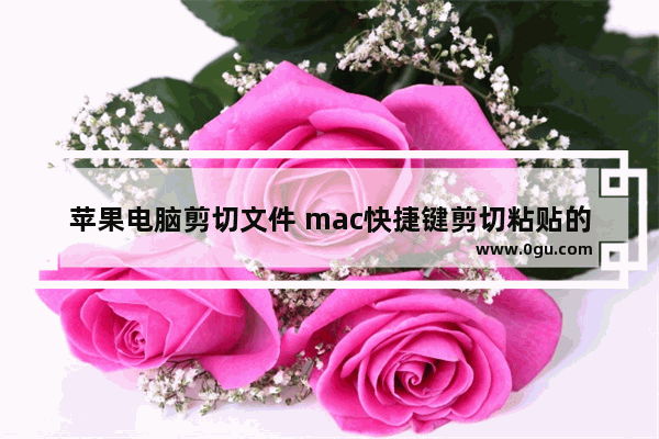 苹果电脑剪切文件 mac快捷键剪切粘贴的方法
