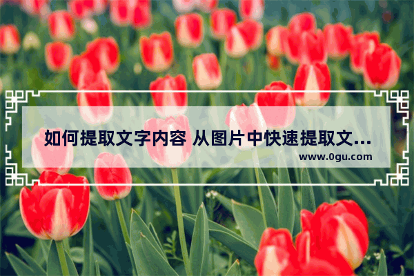 如何提取文字内容 从图片中快速提取文字教程