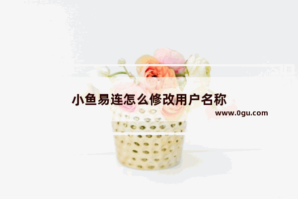 小鱼易连怎么修改用户名称