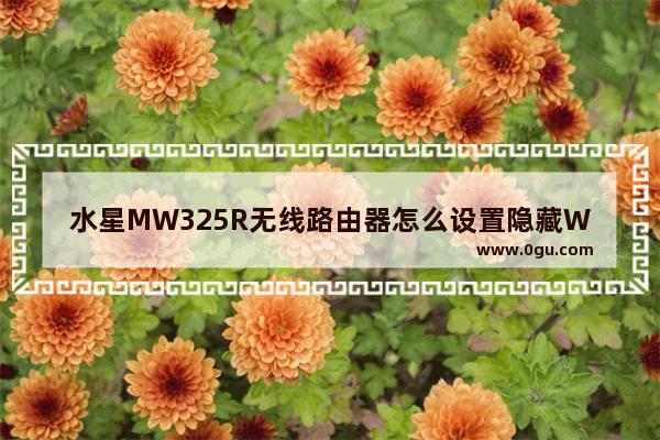 水星MW325R无线路由器怎么设置隐藏WiFi信号
