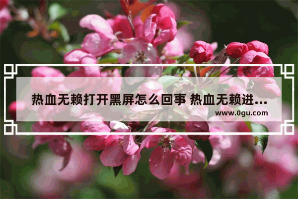 热血无赖打开黑屏怎么回事 热血无赖进车库黑屏