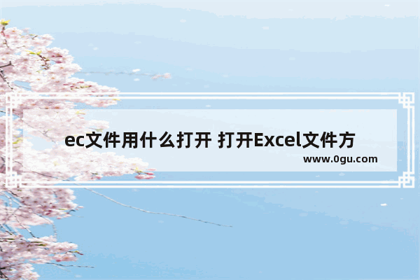 ec文件用什么打开 打开Excel文件方式