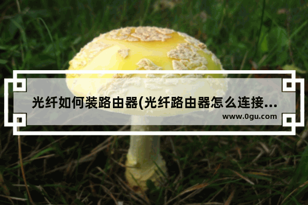 光纤如何装路由器(光纤路由器怎么连接无线路由器)