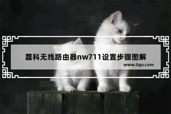 磊科无线路由器nw711设置步骤图解