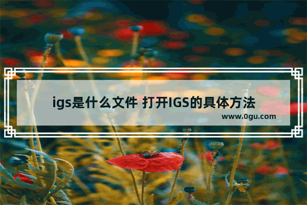 igs是什么文件 打开IGS的具体方法
