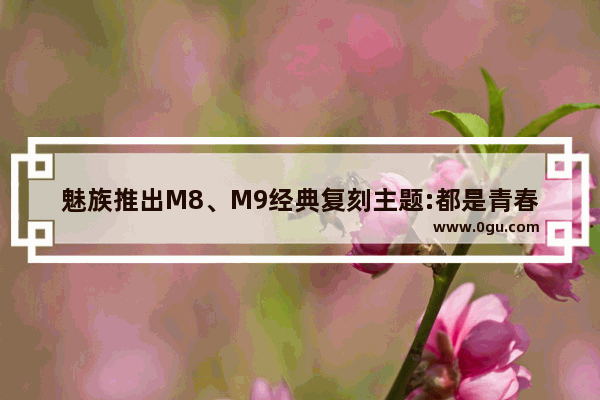 魅族推出M8、M9经典复刻主题:都是青春