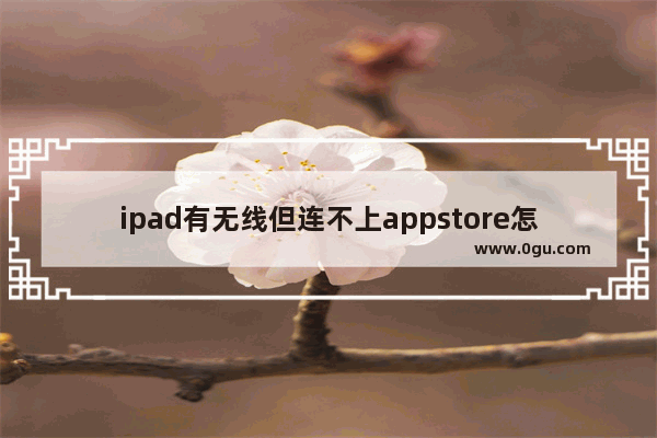 ipad有无线但连不上appstore怎么办 解决 iPad 无法连接到App Store的方法