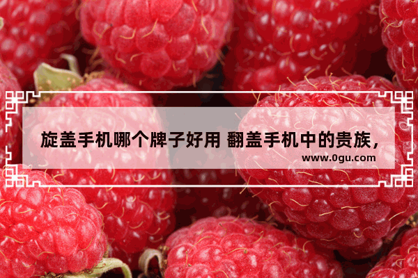 旋盖手机哪个牌子好用 翻盖手机中的贵族，体验洋品牌三星w2019