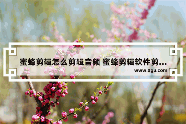 蜜蜂剪辑怎么剪辑音频 蜜蜂剪辑软件剪辑音频的方法教程