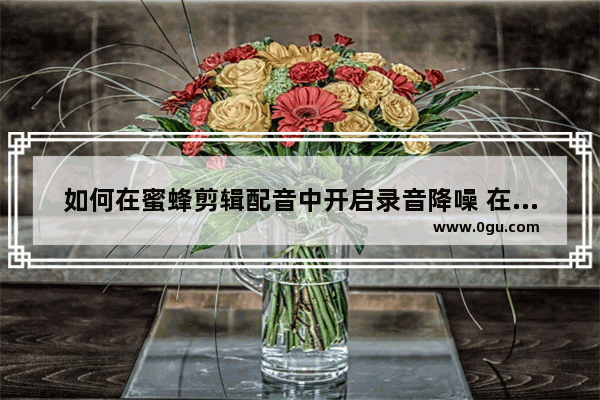 如何在蜜蜂剪辑配音中开启录音降噪 在蜜蜂剪辑配音中开启录音降噪的方法