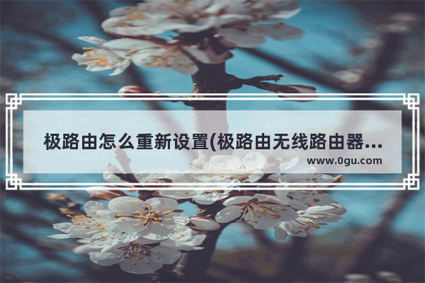 极路由怎么重新设置(极路由无线路由器怎么设置)