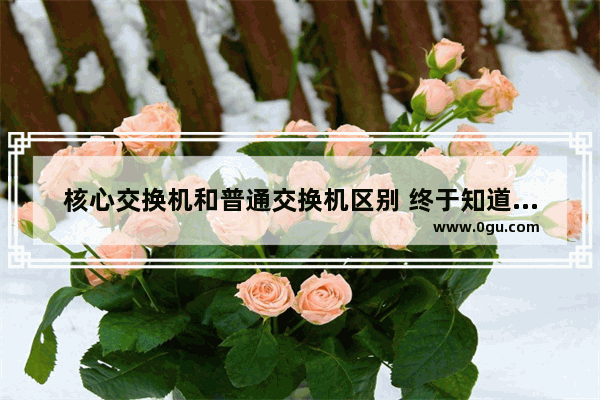 核心交换机和普通交换机区别 终于知道两种交换机的区别了