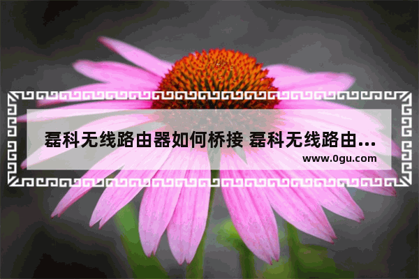 磊科无线路由器如何桥接 磊科无线路由器桥接步骤【详解】