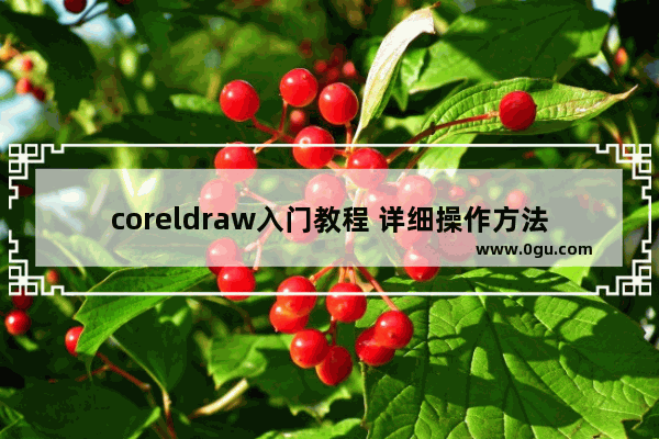 coreldraw入门教程 详细操作方法来了