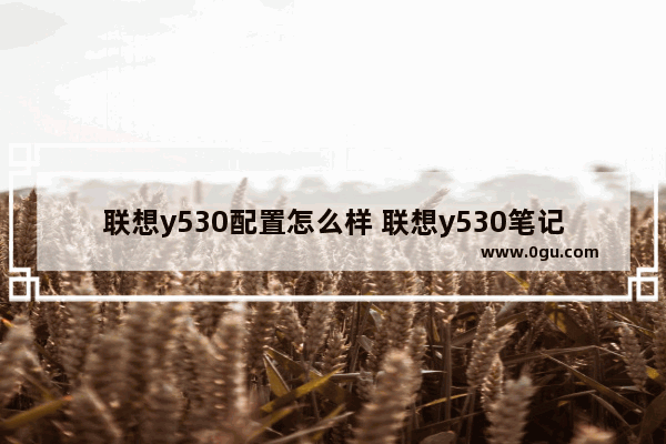 联想y530配置怎么样 联想y530笔记本报价