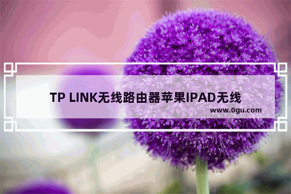 TP LINK无线路由器苹果IPAD无线连接设置步骤