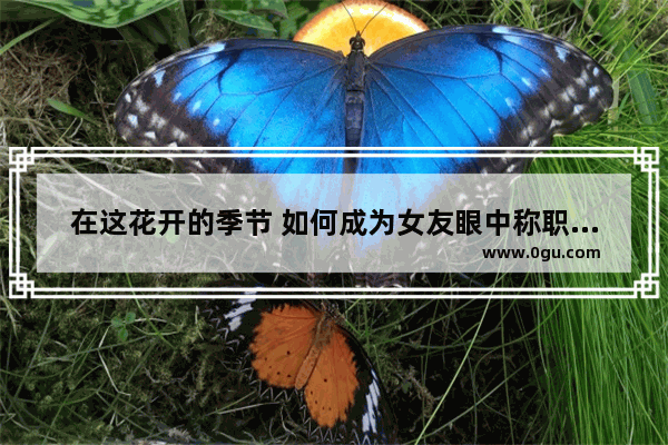 在这花开的季节 如何成为女友眼中称职的摄郎