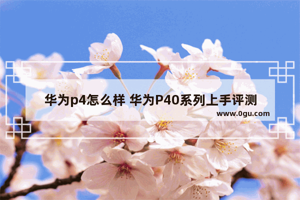 华为p4怎么样 华为P40系列上手评测