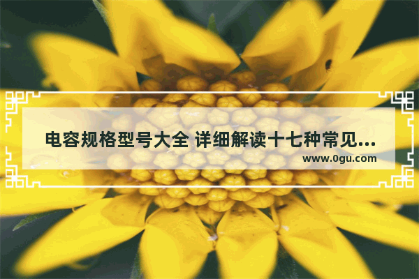 电容规格型号大全 详细解读十七种常见电容