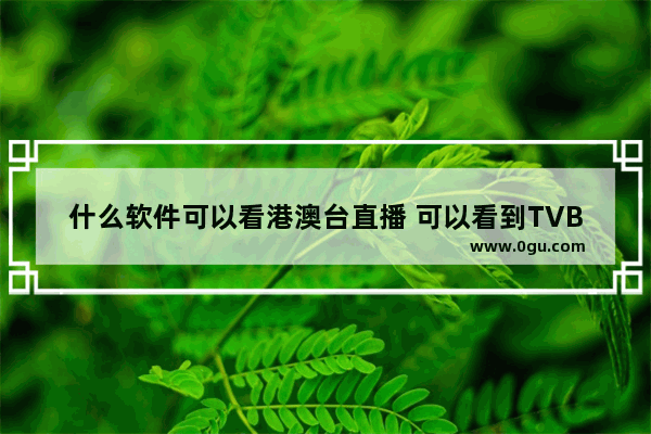 什么软件可以看港澳台直播 可以看到TVB(港剧)软件