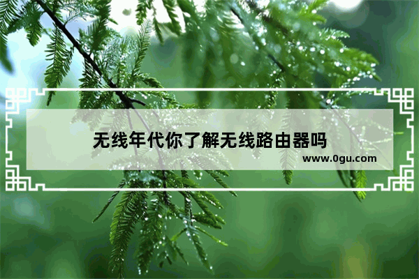 无线年代你了解无线路由器吗