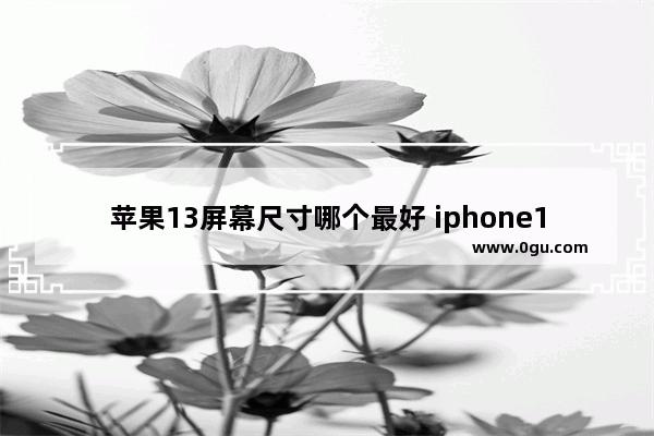 苹果13屏幕尺寸哪个最好 iphone13系列选购指南