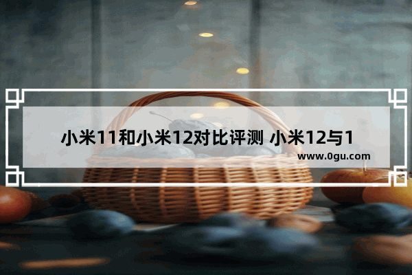 小米11和小米12对比评测 小米12与11的区别