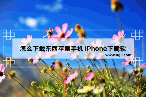 怎么下载东西苹果手机 iPhone下载软件的方法