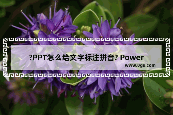 ?PPT怎么给文字标注拼音? PowerPoint演示文稿给文字标注拼音的方法教程