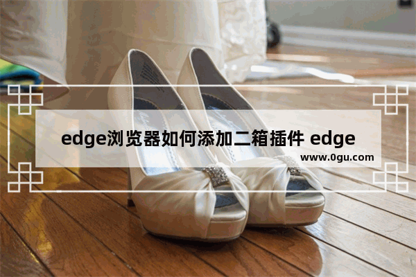 edge浏览器如何添加二箱插件 edge浏览器添加二箱插件的方法