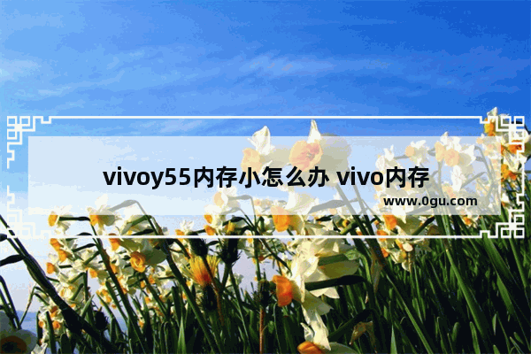 vivoy55内存小怎么办 vivo内存扩展功能使用技巧