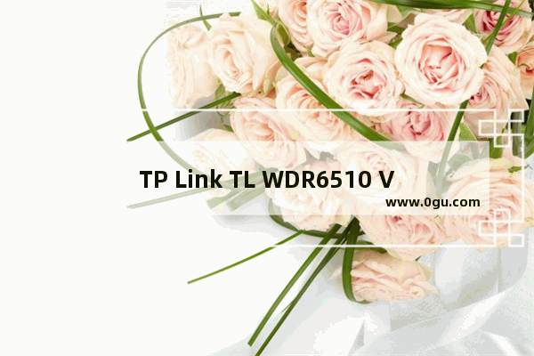 TP Link TL WDR6510 V2 无线路由器设置访客网络方法