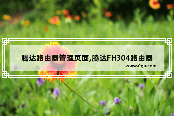 腾达路由器管理页面,腾达FH304路由器后面2个按钮TX
