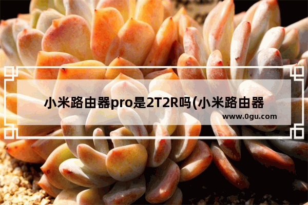 小米路由器pro是2T2R吗(小米路由器pro和k2p)