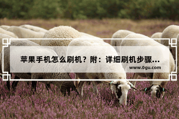 苹果手机怎么刷机？附：详细刷机步骤，几分钟就能搞定