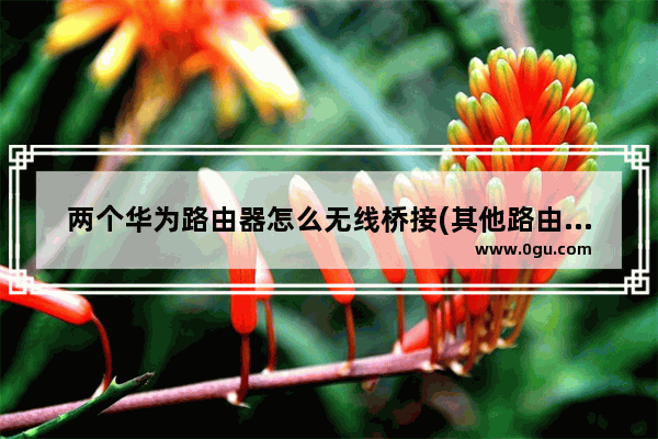 两个华为路由器怎么无线桥接(其他路由器如何桥接华为路由器)